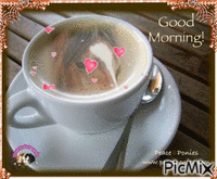 Horse Coffee - Ingyenes animált GIF