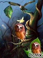 Fantasy owl GIF แบบเคลื่อนไหว
