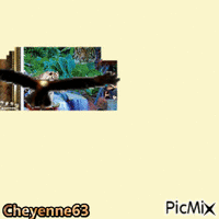 Cheyenne63 GIF animado