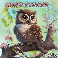 welcome owl animirani GIF
