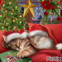 Les Chats de Noël - Gratis geanimeerde GIF
