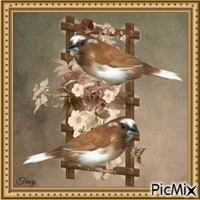 Spring and birds - ilmainen png