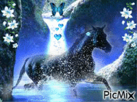 l'univers bleu des chevaux - 無料のアニメーション GIF