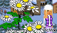 Snow Flowers - GIF animé gratuit