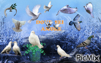 Dove Animated GIF