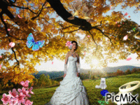 la mariée - Безплатен анимиран GIF