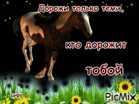 цира - Ingyenes animált GIF