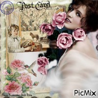 Post card - zdarma png