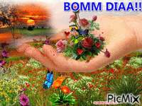 BOM DIAA2 动画 GIF