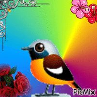 Il mio primo picmix - GIF animado grátis
