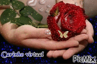 Carinho virtual - GIF animado grátis