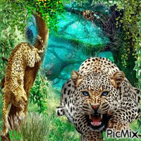 Leopardo animovaný GIF