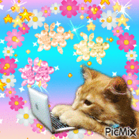 Meow work from home GIF animata