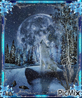Wolf in the night. - GIF animasi gratis