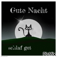 Gute Nacht animovaný GIF