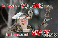 volare amare - Darmowy animowany GIF