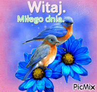 ptaki - Ingyenes animált GIF
