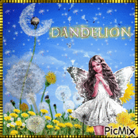 Dandelions - Fantasy