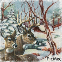 Animal sauvage en hiver. - Безплатен анимиран GIF