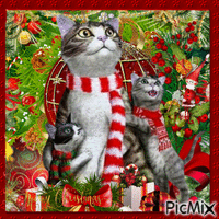 Christmas cats GIF animé