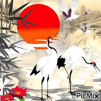 Cranes - Бесплатни анимирани ГИФ