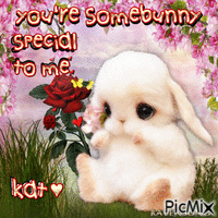 You're somebunny special - Free animated GIF