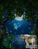 loup et lune animovaný GIF