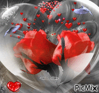 rose d amour - GIF animé gratuit