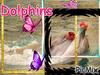 Dolphins - Bezmaksas animēts GIF