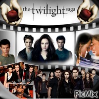 The Twilight Saga