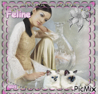 Feline - Бесплатный анимированный гифка