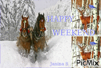 Konie w śnieżnej szacie - Free animated GIF