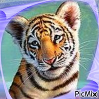 Mon Petit Tigre - png gratuito