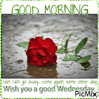 Good Morning. Rain, rain go away, come again som other day. Wish you a godd Wednesday