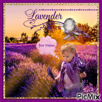Lavendel - GIF animé gratuit