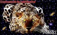 giaguaro - Besplatni animirani GIF