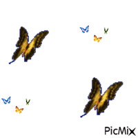 Papillons - GIF เคลื่อนไหวฟรี