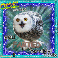 Hilarious Snowy Owl geanimeerde GIF