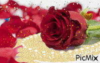 Ruža za rođendan - Gratis animeret GIF