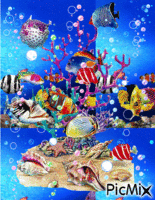 aquarium анимиран GIF