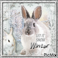 Let it snow with white bunnies - GIF animado grátis