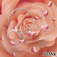 růže - Бесплатный анимированный гифка