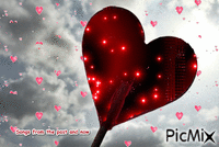 HEARTS - 免费动画 GIF