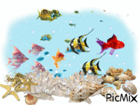 aquarium - GIF animado gratis