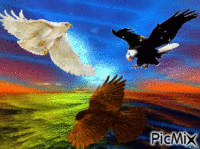 Aigle - Bezmaksas animēts GIF