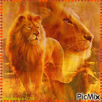 Flaming Lions - Free animated GIF