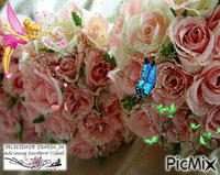 flores - Darmowy animowany GIF