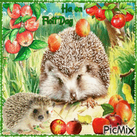 Have a nice day. Hedgehogs