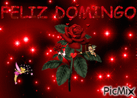 FELIZ DOMINGO - Бесплатный анимированный гифка