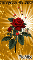 rosa de corazon - Ingyenes animált GIF